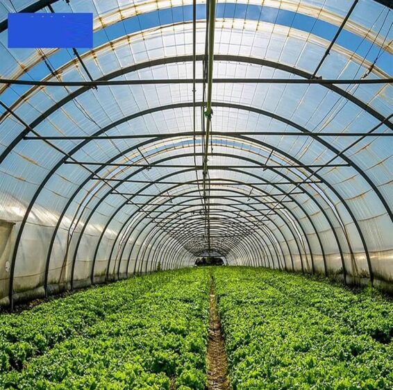 81X41jBCxCL._UF894,1000_QL80_